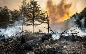 Оценка ущерба после стихийного бедствия в Набережных Челнах: отчет оценщика